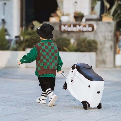 Walizka dla Dziecka z Siedziskiem – Jeździk Podróżny na Kółkach, Bagaż Podręczny